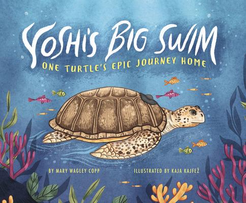 Yoshi’s Big Swim: One Turtle’s Epic Journey Home