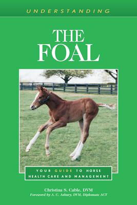 Understanding the Foal