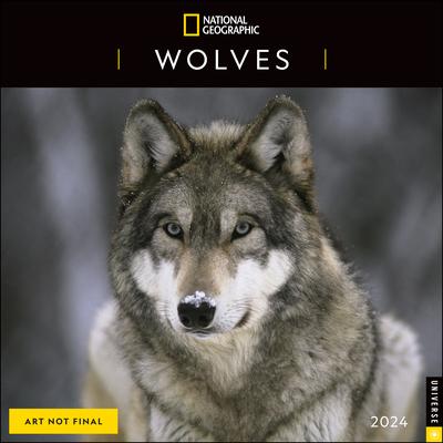 National Geographic: Wolves 2024 Wall Calendar