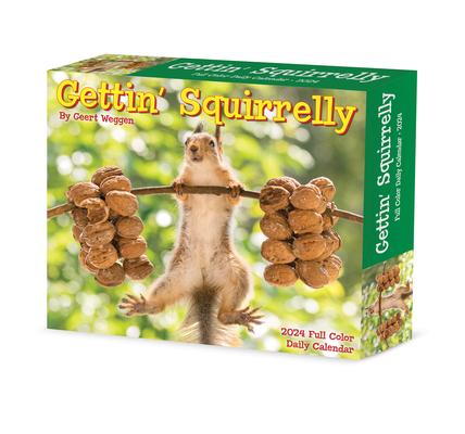 Gettin’ Squirrelly 2024 6.2 X 5.4 Box Calendar