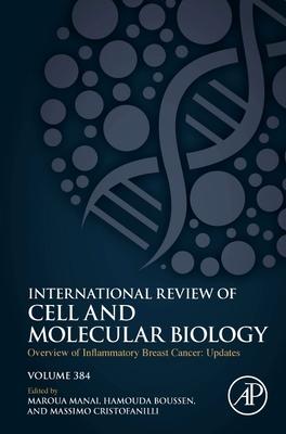 Overview of Inflammatory Breast Cancer: Updates: Volume 381