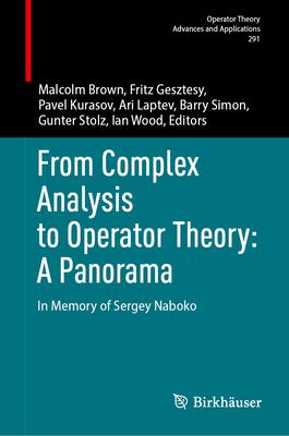 From Complex Analysis to Operator Theory: A Panorama: In Memory of Sergey Naboko