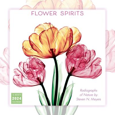 Flower Spirits -- Radiographs of Nature by Steven N. Meyers