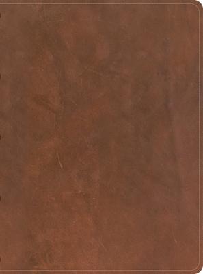 CSB Men’s Daily Bible, Brown Genuine Leather