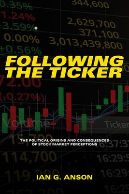 Following the Ticker: The Political Origins and Consequences of Stock Market Perceptions