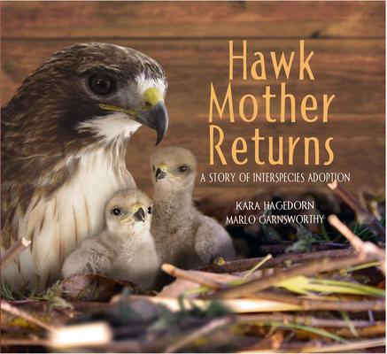 Hawk Mother Returns: A Story of Interspecies Adoption: A Story of Interspecies Adoption