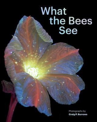 What the Bees See: A Honeybee’s Eye View of the World