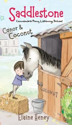 Saddlestone Connemara Pony Listening School Conor and Coconut