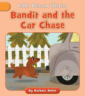 Bandit and the Car Chase