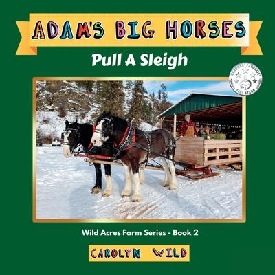 Adam’s Big Horses: Pull A Sleigh
