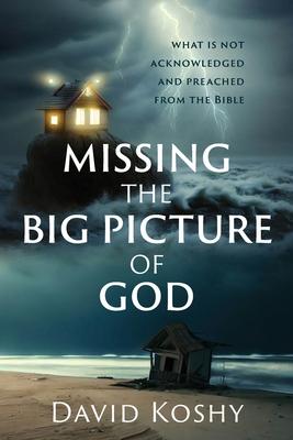 Missing The Big Picture Of God: What Is Not Acknowledged And Preached From The Bible