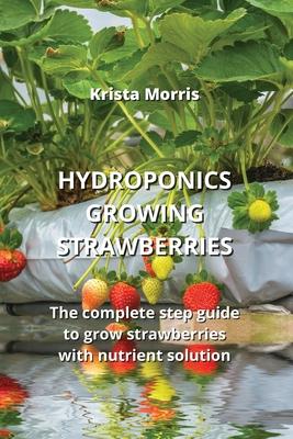 Hydroponics Growing Strawberries