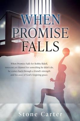 When Promise Falls: When Promise Falls for Bobby Ridell, innocent yet blamed for something he didn’t do, he comes back through a friend’s