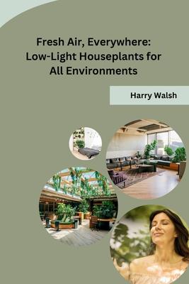 Fresh Air, Everywhere: Low-Light Houseplants for All Environments