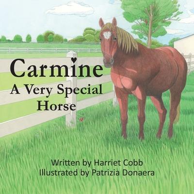 Carmine: A Very Special Horse