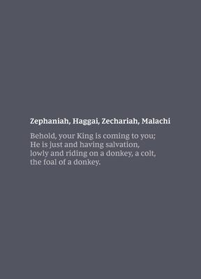 NKJV Bible Journal - Zephaniah, Haggai, Zechariah, Malachi Softcover