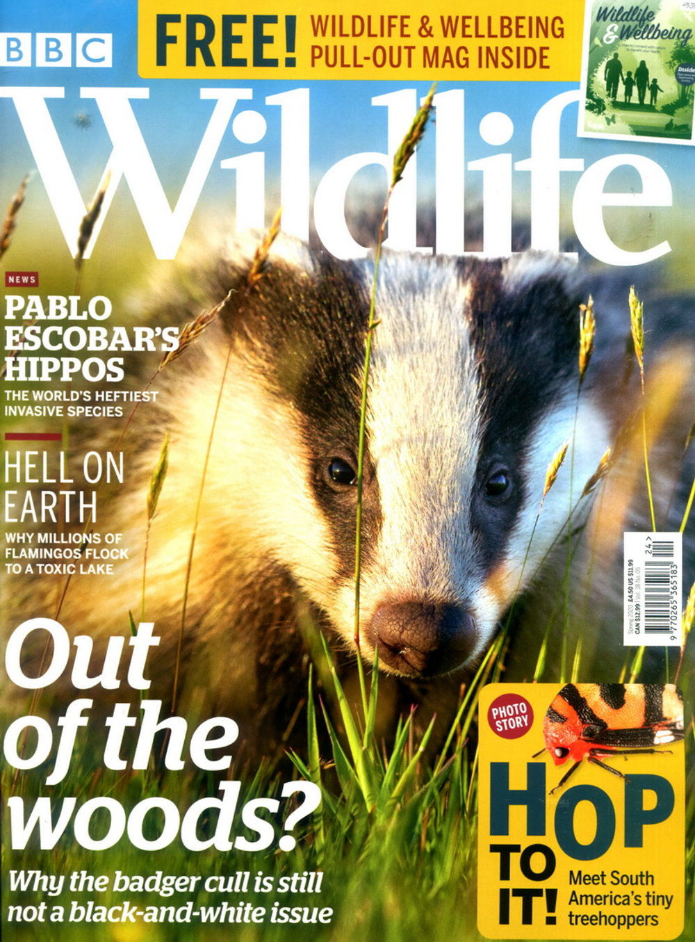BBC Wildlife 春季號/2020