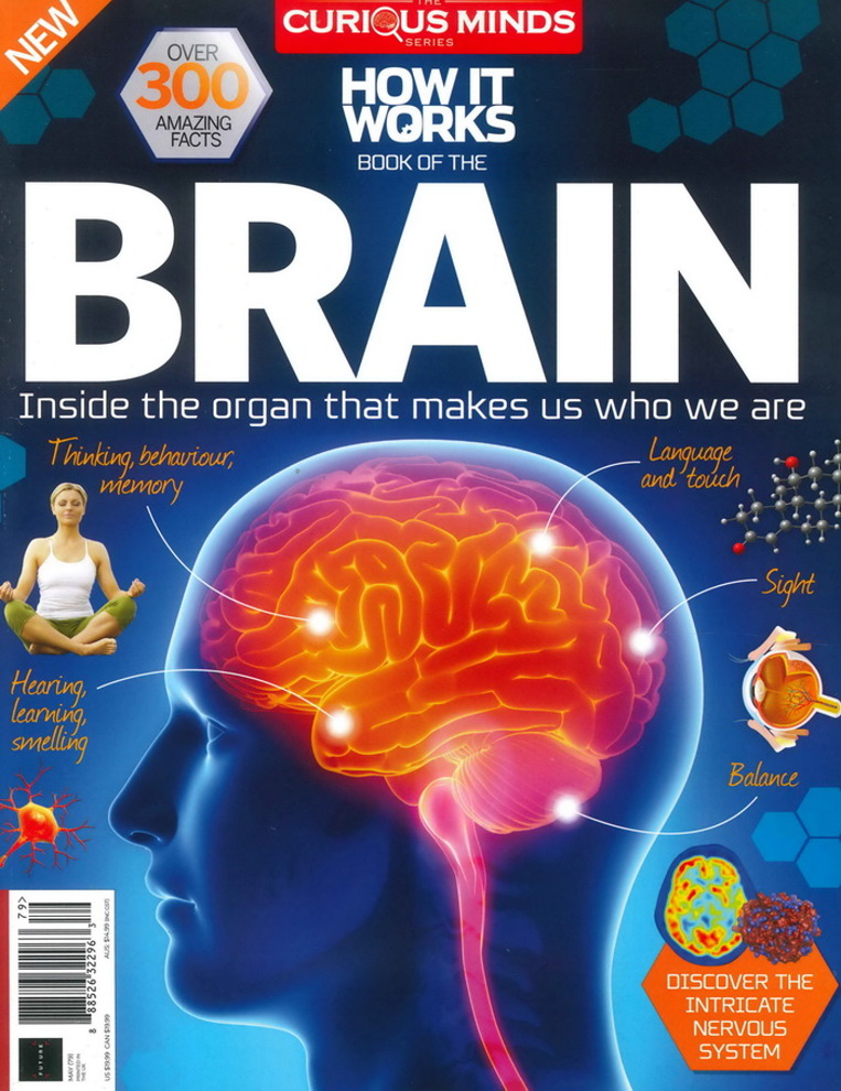 HOW IT WORKS BOOK OF THE BRAIN 第79期