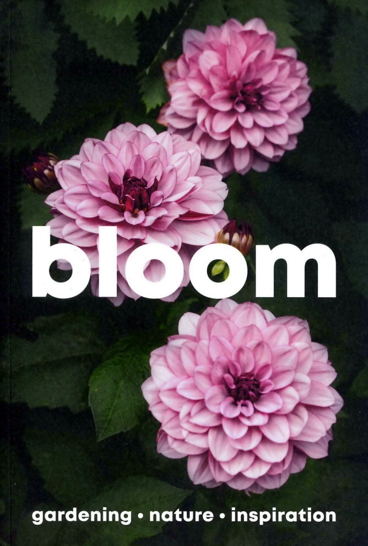 bloom magazine 第16期
