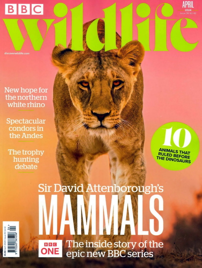 BBC Wildlife 4月號/2024