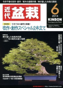 月刊近代盆栽 6月號/2014