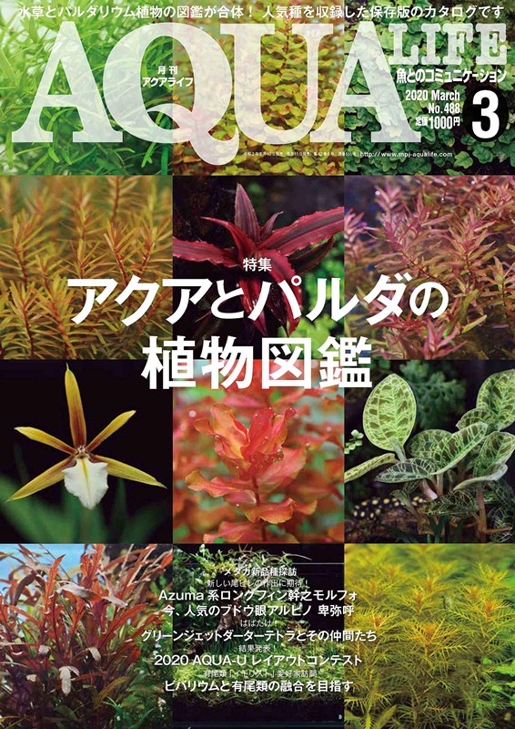 AQUA LIFE 3月號/2020