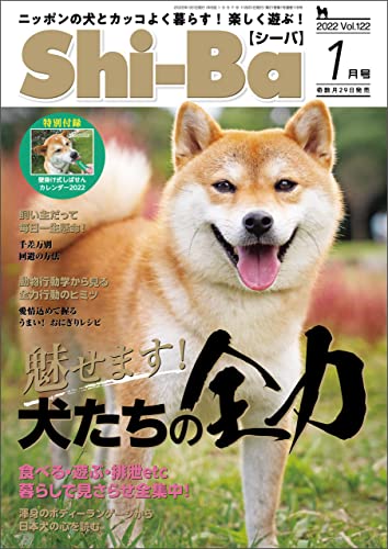 Shi－Ba柴犬專門誌 1月號/2022