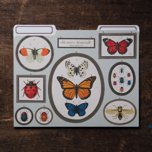 【Cavallini】File Folders資料夾(3入)_Butterflies&Insects