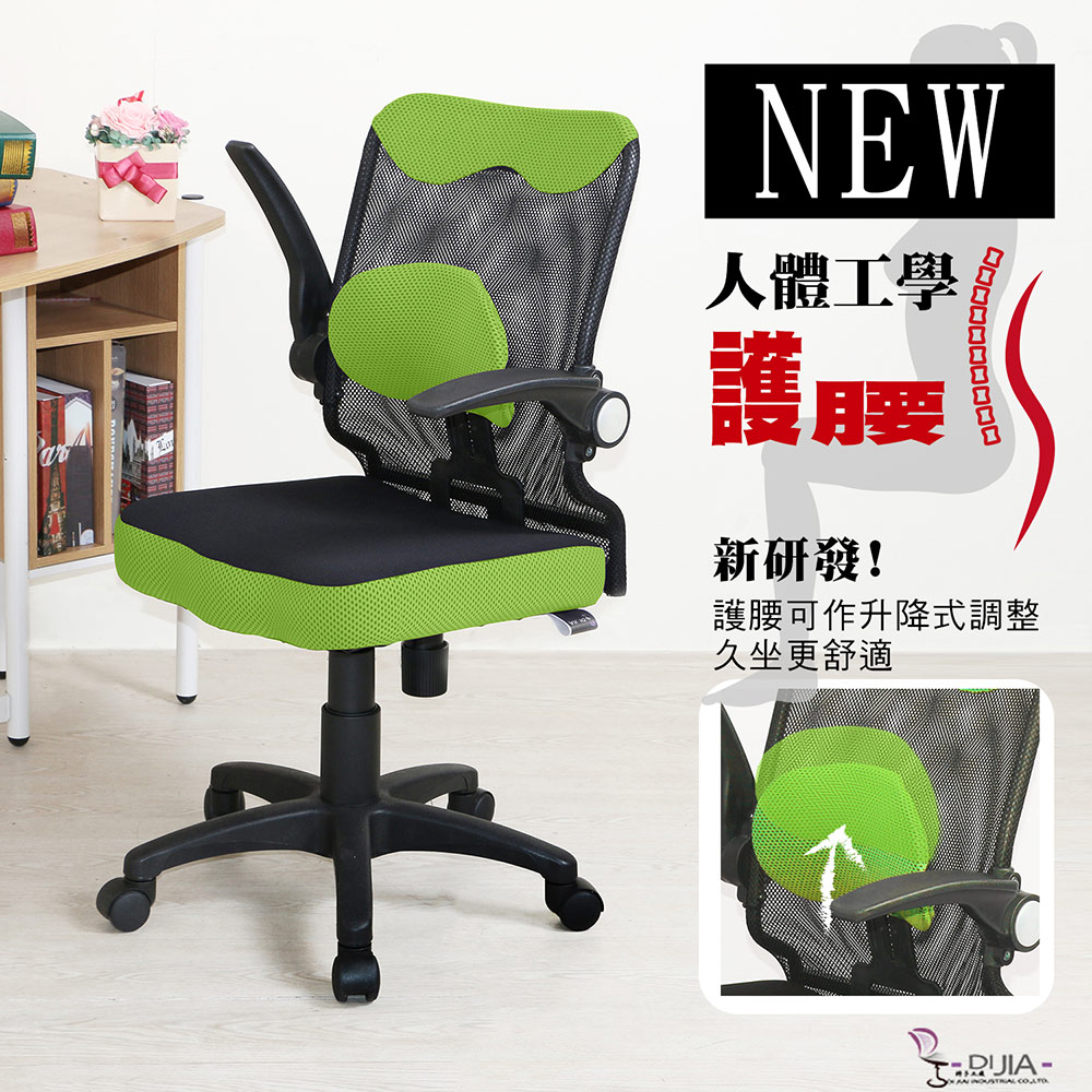 DIJIA 【貝里尼新型升降護腰】辦公椅/電腦椅綠
