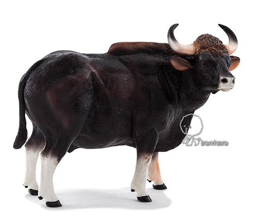 MOJO動物模型-印度野牛