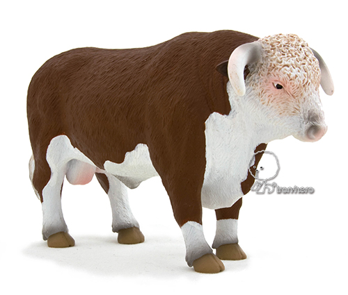MOJO動物模型-赫里福郡公牛