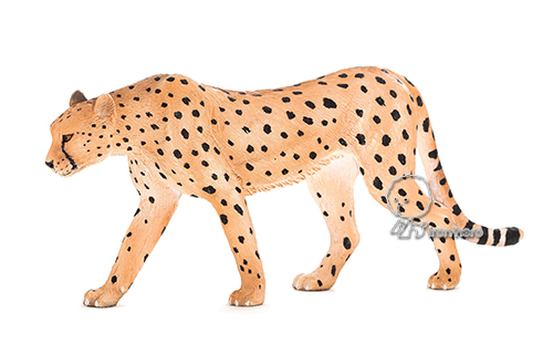 MOJO動物模型-獵豹