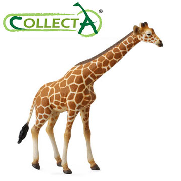 【CollectA】大長頸鹿
