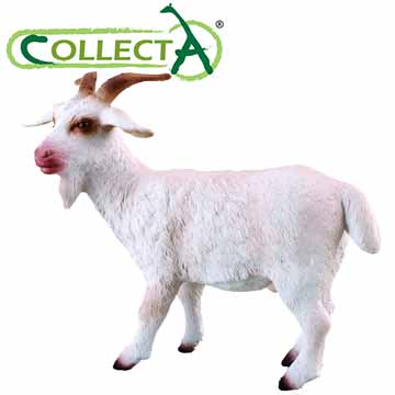 【CollectA】公山羊