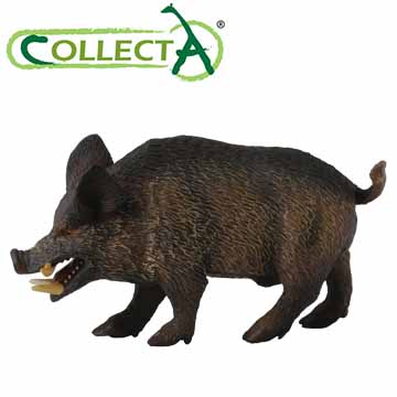 【CollectA】公山豬