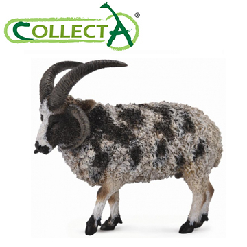 【CollectA】四角羊-雄性