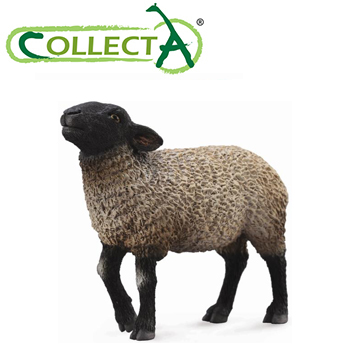 【CollectA】黑臉羊