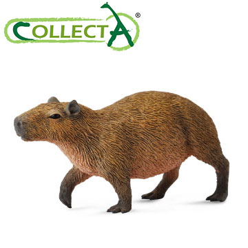 【CollectA】水豚