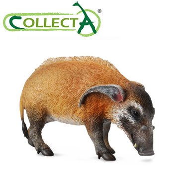 【CollectA】紅河豬