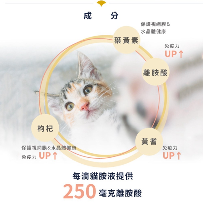 SINGEN 信元發育寶 貓用雙效強化免疫力呼吸道營養配方高濃度口服液100ml/罐