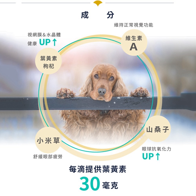 SINGEN 信元發育寶 犬用雙效強化護眼明目亮眼葉黃素營養健康配方高濃度口服液100ml/罐 